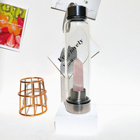 Bouteille d'eau en verre borosilicate avec cristal de guérison, compartiment amovible pour gemmes, bouteille d'élixir Reiki