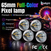 Luz de Globo Pixel RGBW Programable de 65 mm, Blanco Cálido, DC24V DMX512 IP67, para Proyectos de Instalación Creativa en Salas de Exposiciones y Escenarios