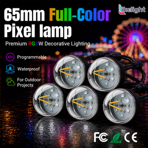 Luz <span class=keywords><strong>de</strong></span> Globo Pixel RGBW Programable <span class=keywords><strong>de</strong></span> 65 mm, Blanco Cálido, DC24V DMX512 IP67, para Proyectos <span class=keywords><strong>de</strong></span> Instalación Creativa en Salas <span class=keywords><strong>de</strong></span> Exposiciones y Escenarios - Product Image 1