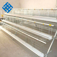 Équipement d'élevage avicole pour poules pondeuses, cage à poules de 70 places, grillage, poulailler à enclos libre, prix d'usine, soudure