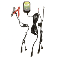 Chargeur de batterie portable haute efficacité 6/12V automatique avec connexion par prise, entrée 110-220V, garantie 1 an
