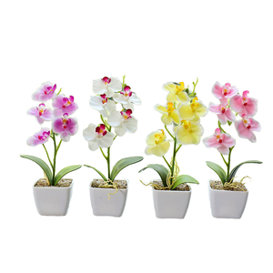 Mini orchidée Phalaenopsis artificielle au toucher réel en pot en plastique, fleur blanche, Noël, Nouvel An, imperméable, 27 cm - Product Image 1