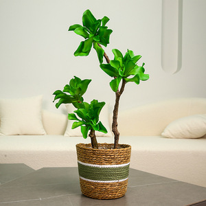 Plante artificielle en pot Yihua Floral Art, 70 cm, fleur en soie verte, décoration intérieure, accessoires de photographie en extérieur - Product Image 2