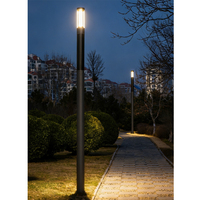 Panneau solaire 100W avec cellule Sunpower, module PV monocristallin en silicium, tube pour lampadaire solaire, lampe de jardin, lampe de chemin