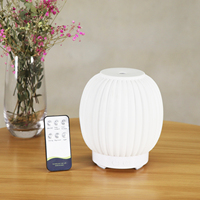Diffuseur d'huiles essentielles à ultrasons, humidificateur d'air à brume froide, parfum unique et populaire, pour la maison et le bureau