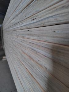 Núcleo de pino Contrachapado Construcción Muebles Embalaje Pino Bintangor <span class=keywords><strong>Okumen</strong></span> Álamo - Product Image 3