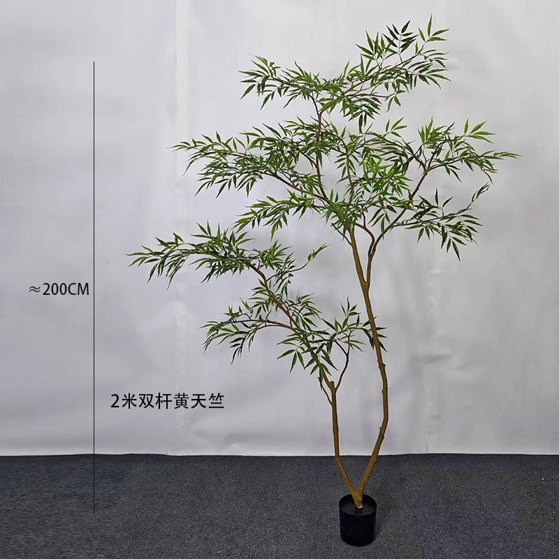 Tianzhu jaune bipolaire de 2 mètres