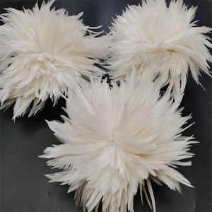 Plumas <span class=keywords><strong>de</strong></span> Gallo <span class=keywords><strong>de</strong></span> Primera Calidad para Disfraces <span class=keywords><strong>de</strong></span> Carnaval y Manualidades, Plumas <span class=keywords><strong>de</strong></span> Gallo Cosidas para <span class=keywords><strong>México</strong></span> - Product Image 1