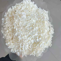 Dekorasi Rumah Pernikahan Buket Bunga Kering Bunga Alami Mudah Diawetkan Hydrangea