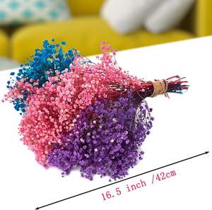 Vente directe usine : Fleurs de Gypsophile stabilisées, Bouquet Million Stars séché pour Mariage et Décoration Intérieure - Product Image 2