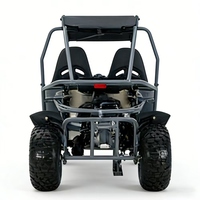 Buggy tout-terrain à deux places pour adultes, 180 cm³, 4 temps, 4x4, à essence, pour la conduite hors route