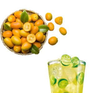 Высококачественный экстракт 100% кумквата, порошок, поставка от производителя, растительный экстракт премиум-класса - Product Image 5