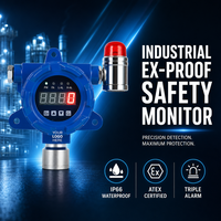 Détecteur de gaz fixe HIREP, moniteur de sécurité industriel mural, affichage LED antidéflagrant bleu, IP66 ATEX CE, alarme stroboscopique