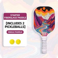 Raquette de pickleball professionnelle haute puissance en fibre de verre avec noyau en nid d'abeille PP, contrôle de puissance