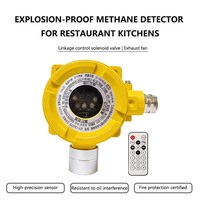 Détecteur de gaz fixe ATEX GTYQ-CA227D, capteur de fuite de gaz GPL, méthane, propane, alarme de fuite de gaz pour cuisines commerciales et restaurants