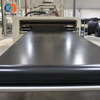 Géomembrane HDPE pour réservoir, 1,2 mm, norme ASTM, écologique, imperméable, pour la construction de bassins à poissons et de barrages