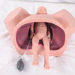 Modèle de simulation de formation scientifique médicale avancée en PVC, taille humaine, démontrant des scènes de travail intensif - Product Image 5