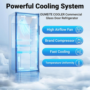 Refrigerador Vertical con Puerta de Vidrio para Bebidas de Tienda de Conveniencia, Sin Escarcha, Enfriamiento Directo por Ventilador, Enfriador de Cerveza y Bebidas - Product Image 6