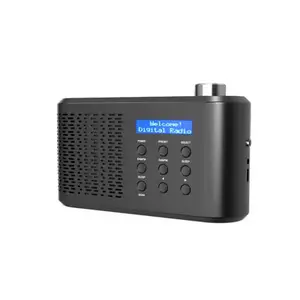 Hohe Qualität Bester Preis Tragbares Radio DAB Auto Digital FM Radio Mit Bluetooth