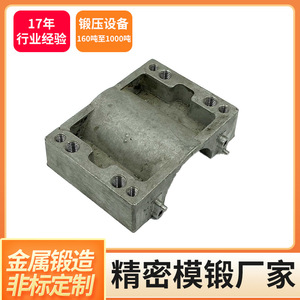 Pieza de Forja Metálica de Precisión Personalizada R6, Mecanizada por CNC en Acero Inoxidable, Aluminio, Cobre, Hierro, Tamaño Personalizable, Tolerancia 0.02 - Product Image 4