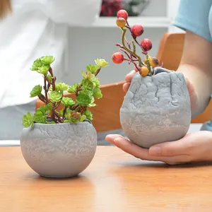 Pots de fleurs succulentes en résine, fait à la main, noble et élégant