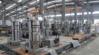 Presse à huile hydraulique automatique en acier inoxydable, machine de pressage à froid et à chaud 380V 60 Kg/H pour olive, soja, noix, sésame
