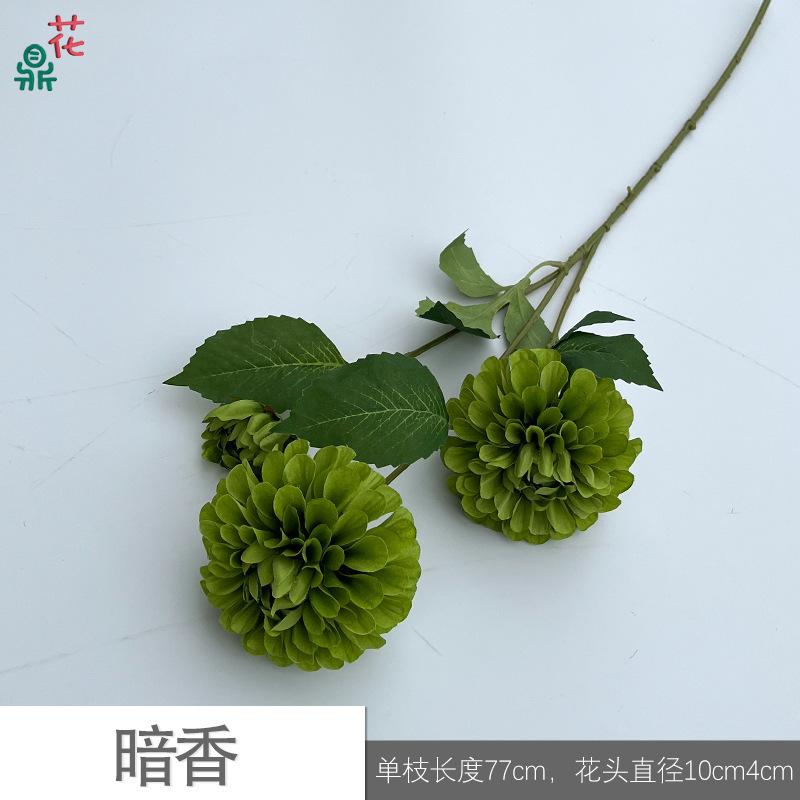 Parfum foncé Y vert