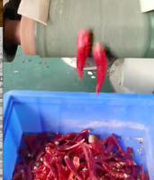 Ligne de production de piment rouge, machine de fabrication de poudre de piment, machines à poudre de piment de Cayenne et de paprika