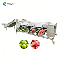 Optische fruit sorteermachine mango fruitsorteermachine sorteermachine