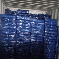 Bâche bâche en plastique bâche PE avec bâche PE robuste enduite