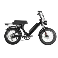 Clássico retro 20 polegadas pneu gordura bicicleta elétrica e moto-48v 500W 750W 1000w confortável sela elétrica E moto-