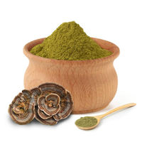 Poudre de champignon Turkey Tail 30:1 Extrait de bêta-glucane Qualité alimentaire Complément nutritionnel à base de plantes