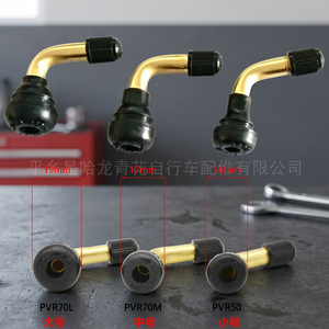 Nouvelle tige de valve PVR70L/PVR70M/PVR50 (16mm 17mm 19mm) en métal pour réparation et remplacement de pneus de vélo - Product Image 3