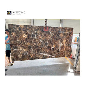 ألواح جدارية رخامية فاخرة بنية كبيرة الحجم ، ألواح حجرية من الخشب المتحجر - Product Image 2