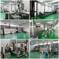 Ligne de production de porridge instantané sur mesure, équipement pour céréales et farine, machine de mélange à humidité contrôlée, conception de qualité alimentaire