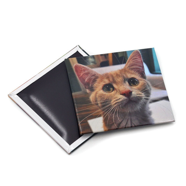 Custom Cute Animal Fridge Magnets for Kitchen Home and Office Decoration Personalized