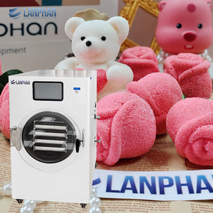 Lyophilizer Machine Small Food Candy Freeze Dryer 7 Trays 25 kg Vacuum Freeze Drying Equipment - Product Image 1