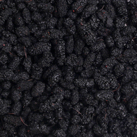 Fabrieksdirecte groothandel gedroogde moerbeibessen bulk levering voor kruidenthee en gezonde snacks gedroogd fruit zakje gedroogd fruit zakje