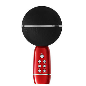 Altoparlante Karaoke Wireless Portatile con Effetto Eco, Subwoofer Potente RGB per Esterni, Audio Stereo con Bassi Profondi, Design a Fungo - Product Image 3