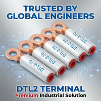 Terminal Bimetálico de Cobre y Aluminio Soldado por Fricción, Serie DTL2, Conector de Cable, Herraje de Conexión Eléctrica