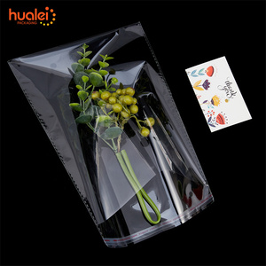 Offre Spéciale auto-adhésif joint en plastique Transparent Cellophane emballage sacs vêtement chaussettes Opp sac avec Logo - Product Image 6