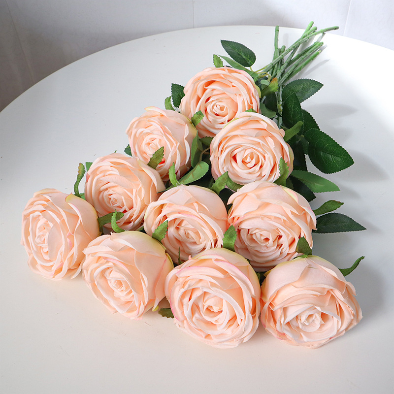 champagne pink