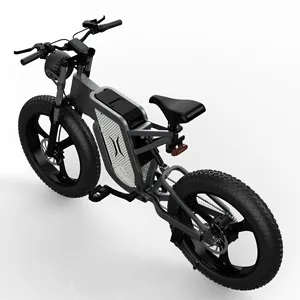 도매 큰 힘 1000W 전기 자전거 알루미늄 합금 구조 뚱뚱한 타이어 성인을 % s 유압 브레이크 전기 산악 자전거