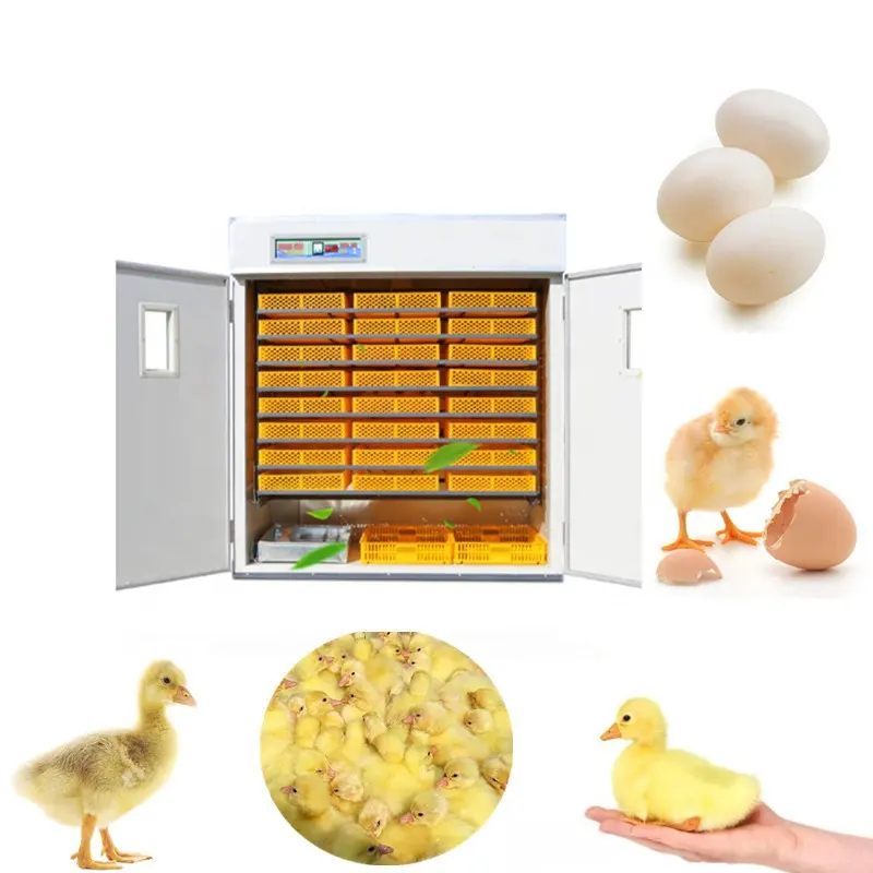 Solar panel energy power fully 98% incubation rate automatic 5000 egg incubator hatching machine eggs