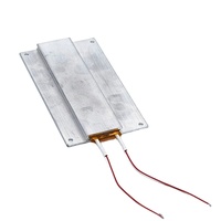 Calentador de cera eléctrico PTC, elemento de calefacción para hervidor de agua, 12v, 24v, 110v, 220v
