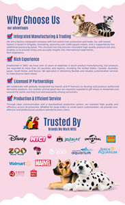 Peluche Personalizado de Algodón PP Súper Suave, Muñeco K-Idol, Personaje de Dibujos Animados Personalizado, Regalo de Mercancía para Fans de Bandas Coreanas - Product Image 6