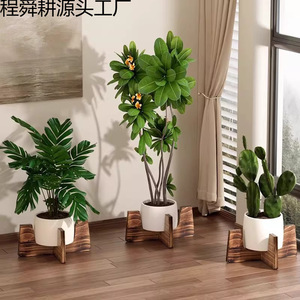 Soporte/estante para flores de mesa para sala de estar, soporte para plantas suculentas de madera maciza para interior, soporte de suelo para balcón de nuevo estilo - Product Image 2