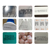 Imprimantes jet d'encre de qualité industrielle avec pompes à engrenages à grande vitesse Grandes machines de codage de petits caractères pour la durée de conservation Logos graphiques
