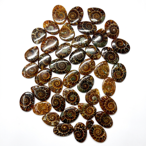 Natural Ammonite Oval Cabochons Polished Organic Gemstones For Jewelry Making Brown Loose Stones By MAHNAJ GEMS , JAIPUR RAJASTH - Product Image 1