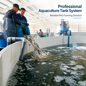 Sistema Comercial <span class=keywords><strong>de</strong></span> Acuicultura para Cría <span class=keywords><strong>de</strong></span> Peces, Equipo para Incubación <span class=keywords><strong>de</strong></span> Alevines, Cría <span class=keywords><strong>de</strong></span> Peces Adultos, Tilapia, Anguila, Trucha - Product Image 2